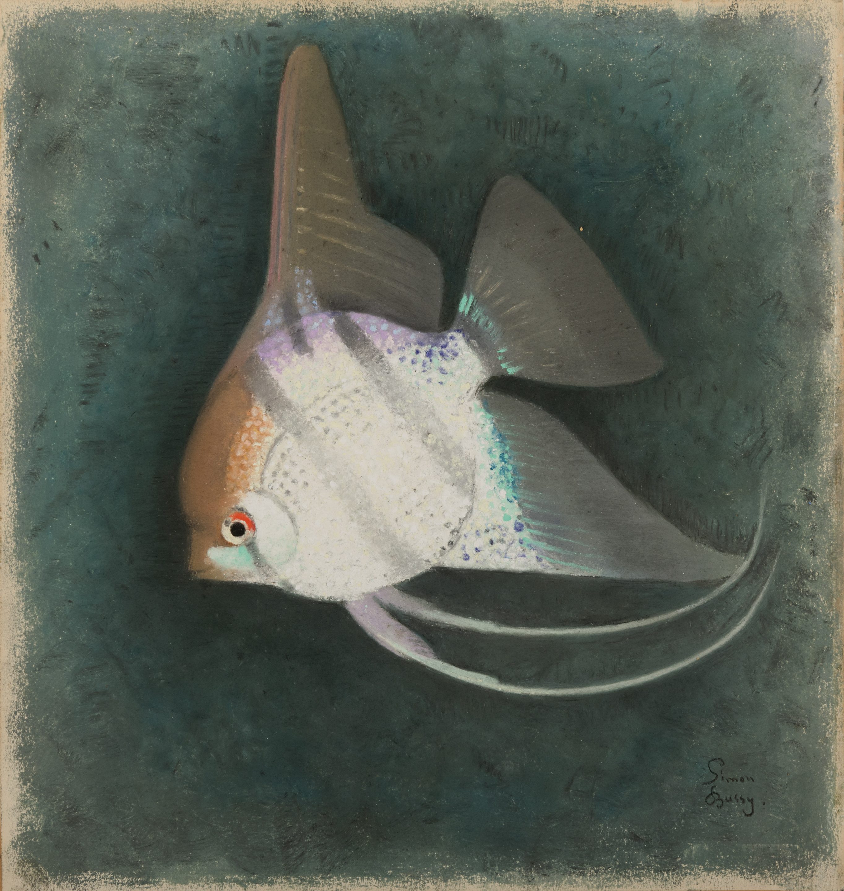Simon Bussy: An Angelfish