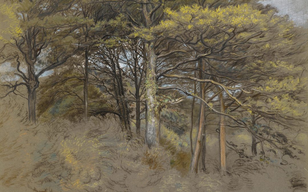 LINNELL James Thomas