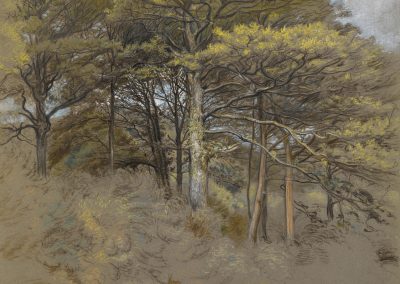 LINNELL James Thomas